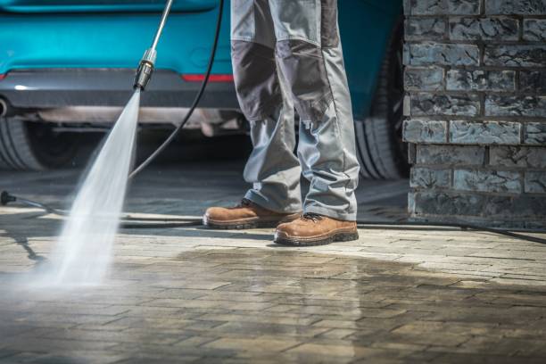 Best Pre-Holiday Cleaning  in New Brockton, AL